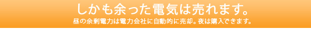 しかも余った電気は売れます。